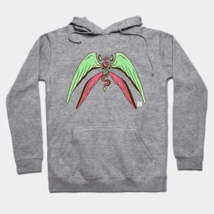 Pink Mint Angel Eye Hoodie